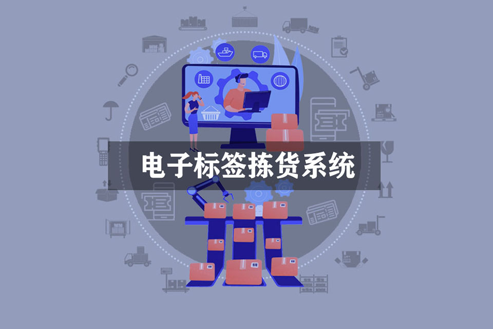 电子标签拣货系统（DPS）